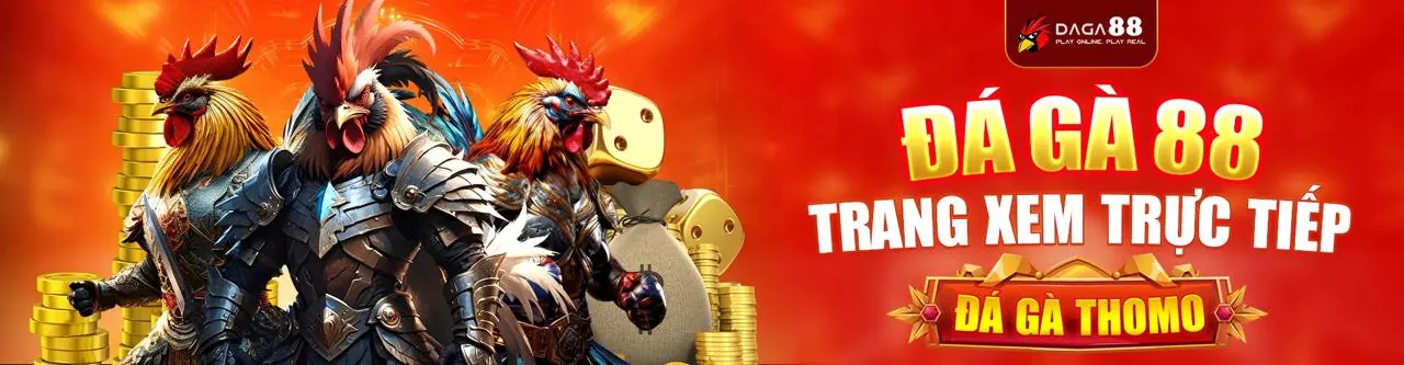 Hình ảnh tổng quan nền tảng tg88 okvip